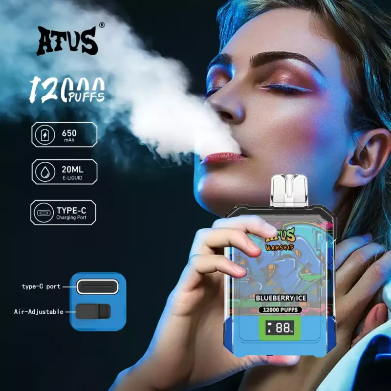 ATVS WARSHIP 12000 Puffs 650mah Rechargeable Battery 5% Nicotine Disposable Vape Wholesale LED Display 2024 (12)