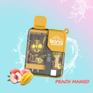 BANG Pyne 9000 Puffs Disposable Vape Wholesale Vapor E Hookah 0 2 3 5 Nicotine with Child Lock Function 2