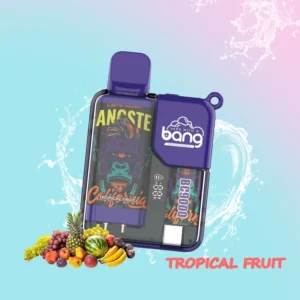 BANG Pyne 9000 Puffs Disposable Vape Wholesale Vapor E Hookah 0% 2% 3% 5% Nicotine with Child Lock Function (3)