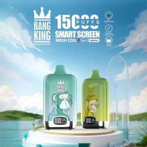 Bang King 15000 Puffs Smart Screen Wholesale Disposable Vape 0% 2% 3% 5% Nicotine 12 Tastes Перезаряджувана оригінальна акумуляторна батарея (1)