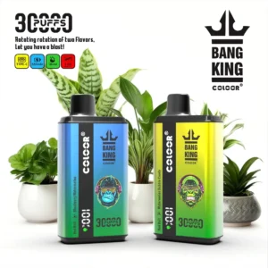 Bang King 30000 Puffs Disposable Vape Wholesale Double Flavor Switching Vape 0% 2% 3% 5% Nicotine LCD Display (7)