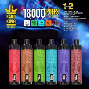 Bang King Shisha 18000 Puffs DTL Screen (2) (2)