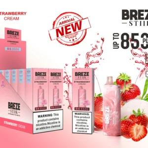 Breze Stiik BS 8500 Puffs Disposable Vape Pen Wholesale Type C Rechargeable Battery Nicotine 2 5 Original 10