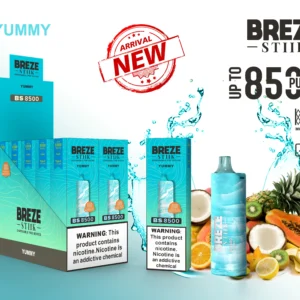 Breze Stiik BS 8500 Puffs Disposable Vape Pen Wholesale Type C Rechargeable Battery Nicotine 2 5 Original 13