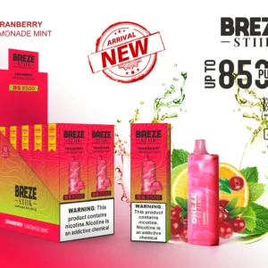 Breze Stiik BS 8500 Puffs Disposable Vape Pen Wholesale Type C Rechargeable Battery Nicotine 2 5 Original 3