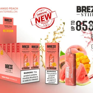 Breze Stiik BS 8500 Puffs Disposable Vape Pen Wholesale Type C Rechargeable Battery Nicotine 2 5 Original 5