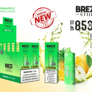 Breze Stiik BS 8500 Puffs Disposable Vape Pen Wholesale Type C Rechargeable Battery Nicotine 2 5 Original 8