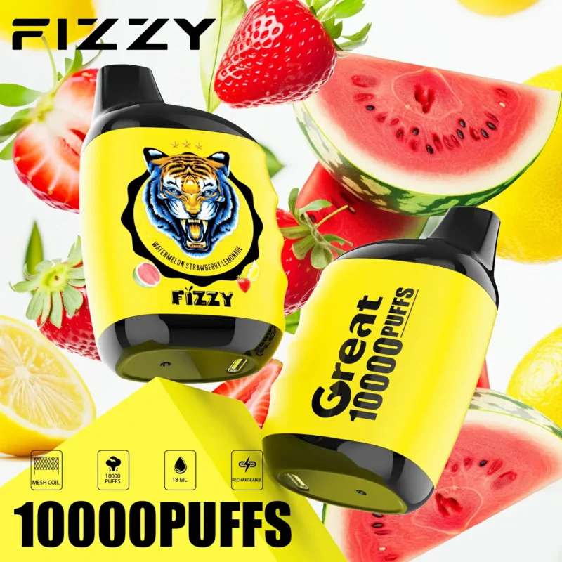 Fizzy Great 10000 Puffs Mesh Coil 2 5 Faible teneur en nicotine Stylos vape jetables en vrac Acheter 12