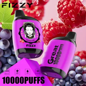 Fizzy Great 10000 Puffs Mesh Coil 2 5 Veleprodajne pisala za enkratno uporabo z nizko vsebnostjo nikotina Nakup v razsutem stanju 8