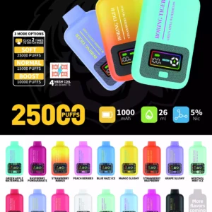 2024 New Arrival Boring Tiger 25000 Puffs Wholesale Disposable Vapes Buy Bulk 5 Nicotine LCD Display Long term Vape 17 Flavors Option 9