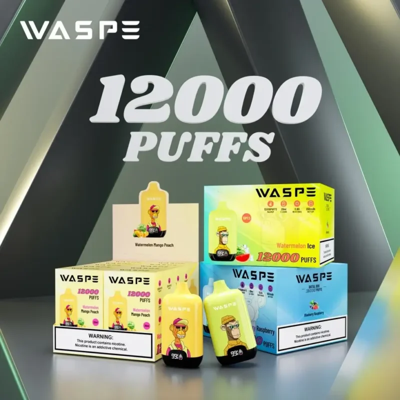 Achat en vrac WASPE 12000 PUFFS Boîte numérique 0% 2% 3% 5% Stylo vape jetable rechargeable en gros à faible teneur en nicotine 10 saveurs avec écran LCD (7)