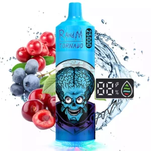 RAHDM TORNADO 25000 Puffs K16S Vape Pen 11 2