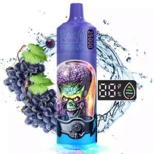 RAHDM TORNADO 25000 Puffs K16S Vape Pen 15 2