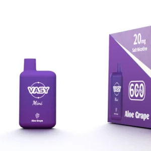 VASY Mini 600 Puffs Koupit hromadně 15 příchutí Vasy Jednorázové Vapes 2% Nízká hladina nikotinu Tovární doprava EU Velkoobchod Super levně (2)