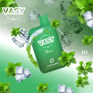 VASY Mini 600 potahů Koupit hromadně 15 příchutí Vasy Jednorázové vapky 2 s nízkým obsahem nikotinu tovární doprava EU Velkoobchod super levně 3