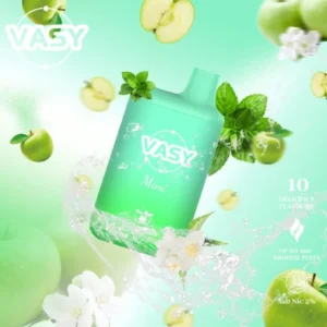VASY Mini 600 potahů Koupit hromadně 15 příchutí Vasy Jednorázové vapky 2 s nízkým obsahem nikotinu tovární doprava EU Velkoobchod super levné 4