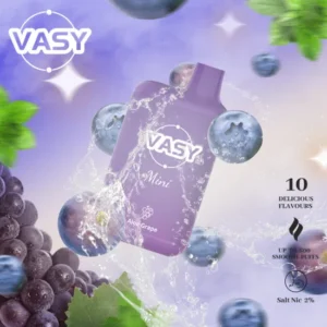 VASY Mini 600 potahů Koupit hromadně 15 příchutí Vasy Jednorázové vapky 2 s nízkým obsahem nikotinu tovární doprava EU Velkoobchod super levně 5