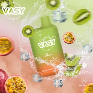 VASY Mini 600 Puffs Koupit hromadně 15 příchutí Vasy Jednorázové Vapes 2% Nízká hladina nikotinu Tovární doprava EU Velkoobchod Super levně (8)
