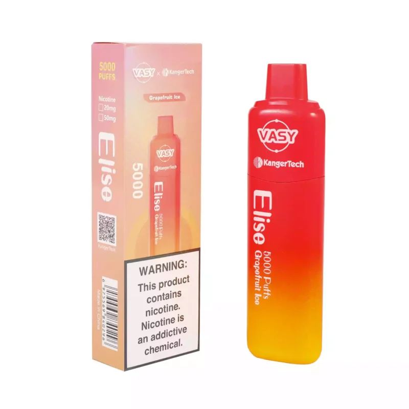 Vasy Elise 5000 Puffs Recarregáveis ​​Tipo-C Compre Vapes descartáveis ​​em massa por atacado Fluxo de ar ajustável 2% 5% Bobina de malha com baixo teor de nicotina 12 sabores (4)