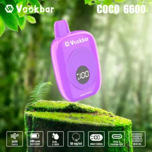 Vookbar COCO 6600 Rookwolken Koop bulkgroothandel Wegwerpvapes 3 Oplaadbare LCD-display met laag nicotinegehalte Origineel Fa 4