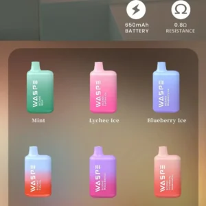 WASPE 5000 PUFFS Toptan Tek Kullanımlık Vape Kalemi 0 2 3 5 Nikotin 13ml Şarj Edilebilir Mesh Bobin Orijinal Fabrika Nakliye 4