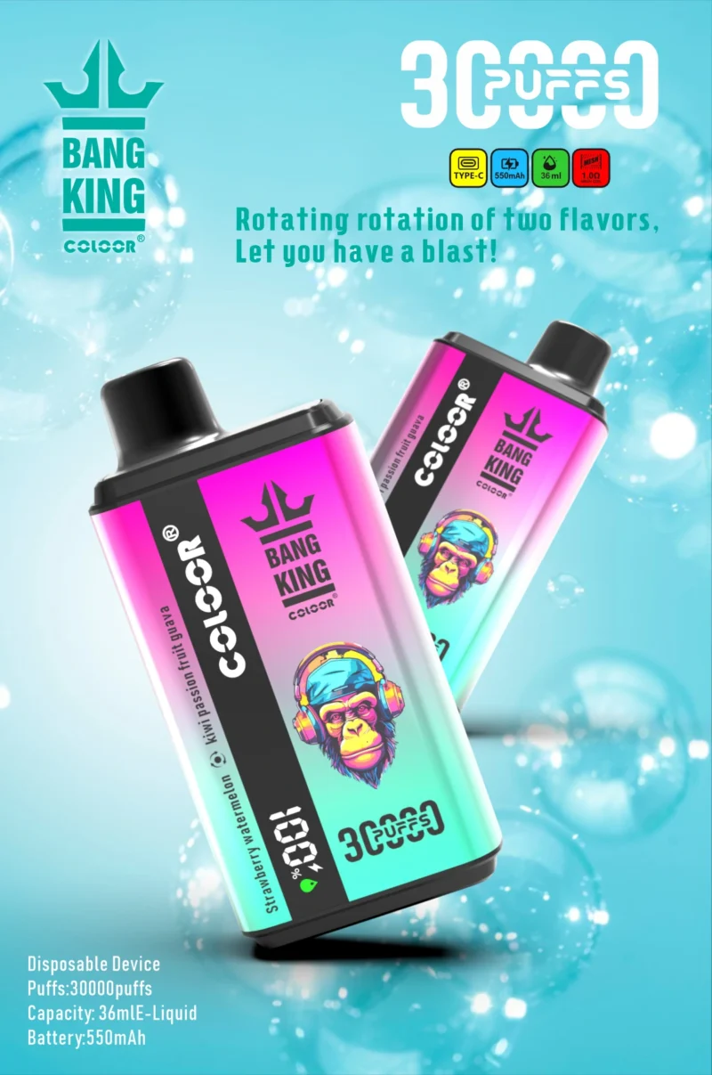 Jak koupit jednorázový vape Bang King 30000 Puffs s duálním přepínáním příchutí