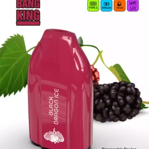 Bulk Bang King 12000 Puffs Vape Pen desechable en múltiples niveles de nicotina 0 2 3 5 con 12 ml de líquido E para venta al por mayor 10