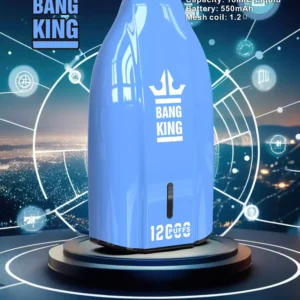 Bulk Bang King 12000 Puffs Vape Pen desechable en múltiples niveles de nicotina 0 2 3 5 con 12 ml de líquido E para venta al por mayor 2