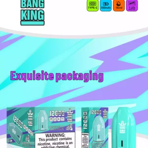 Bulk Bang King 12000 Puffs Vape Pen desechable en múltiples niveles de nicotina 0 2 3 5 con 12 ml de líquido E para venta al por mayor 6