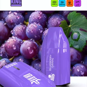 Bulk Bang King 12000 Puffs Vape Pen desechable en múltiples niveles de nicotina 0 2 3 5 con 12 ml de líquido E para venta al por mayor 8