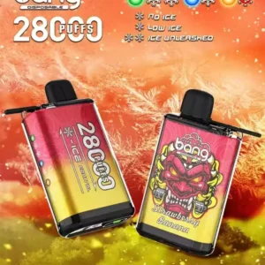 High Quality Bang 28000 Puffs Disposable Vape Pen with 30ml E Liquid Rechargeable Battery and 0 2 3 5 Nicotine Levels 5