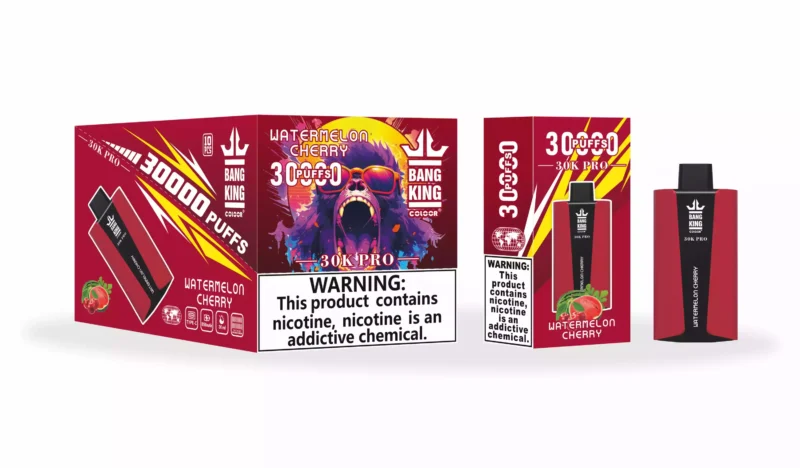 Wysokiej jakości jednorazowy długopis Vape Bang King 30000 Puffs Pro z akumulatorem E-Liquid o pojemności 36 ml i wieloma opcjami nikotyny (1)