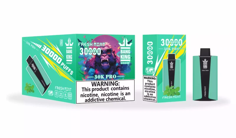 Wysokiej jakości jednorazowy długopis Vape Bang King 30000 Puffs Pro z 36 ml płynnym akumulatorem E i wieloma opcjami nikotynowymi 10 skalowanych