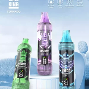Exceptional BANG KING 35000 Puffs Disposable Vape with 0 2 3 5 Nicotine and 1000mAh Rechargeable Battery Source Factory Direct Sale 5