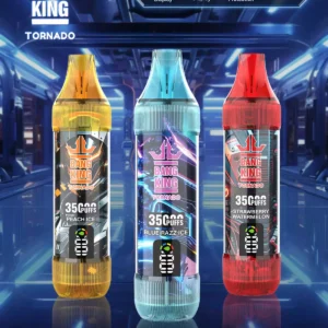 Exceptional BANG KING 35000 Puffs Disposable Vape with 0% 2% 3% 5% Nicotine and 1000mAh Rechargeable Battery Source Factory Direct Sale (7)