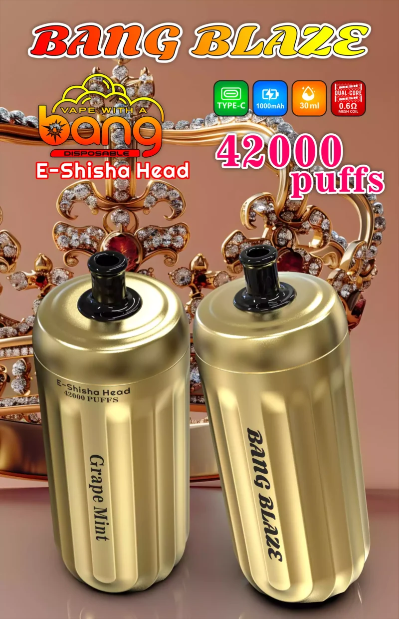 High Performance BANG 42000 BLAZE Disposable Vape in 0 2 3 5 Nicotine and 1000mAh Rechargeable Battery for Wholesale Orders 11 scaled