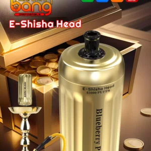 High Performance BANG 42000 BLAZE Disposable Vape in 0 2 3 5 Nicotine and 1000mAh Rechargeable Battery for Wholesale Orders 7